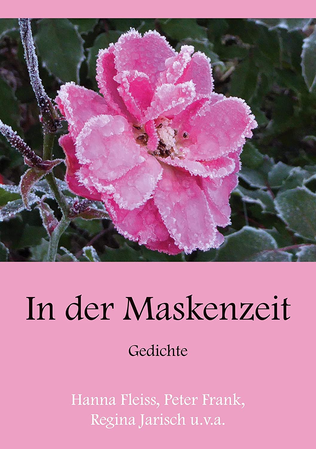 In der Maskenzeit Gedichte - Cover